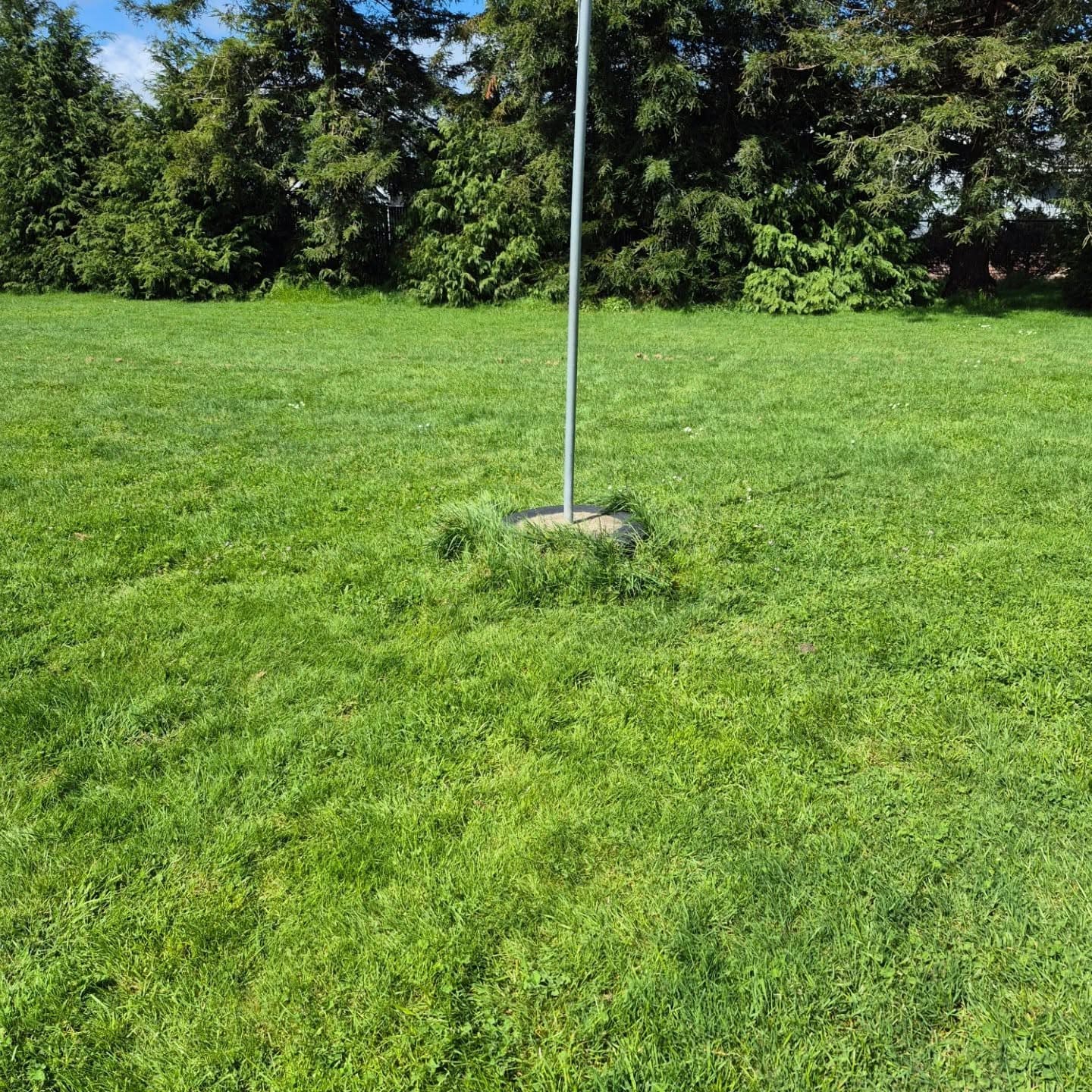 Maintained lawn and landscaping by D & D Mowing in Humboldt County