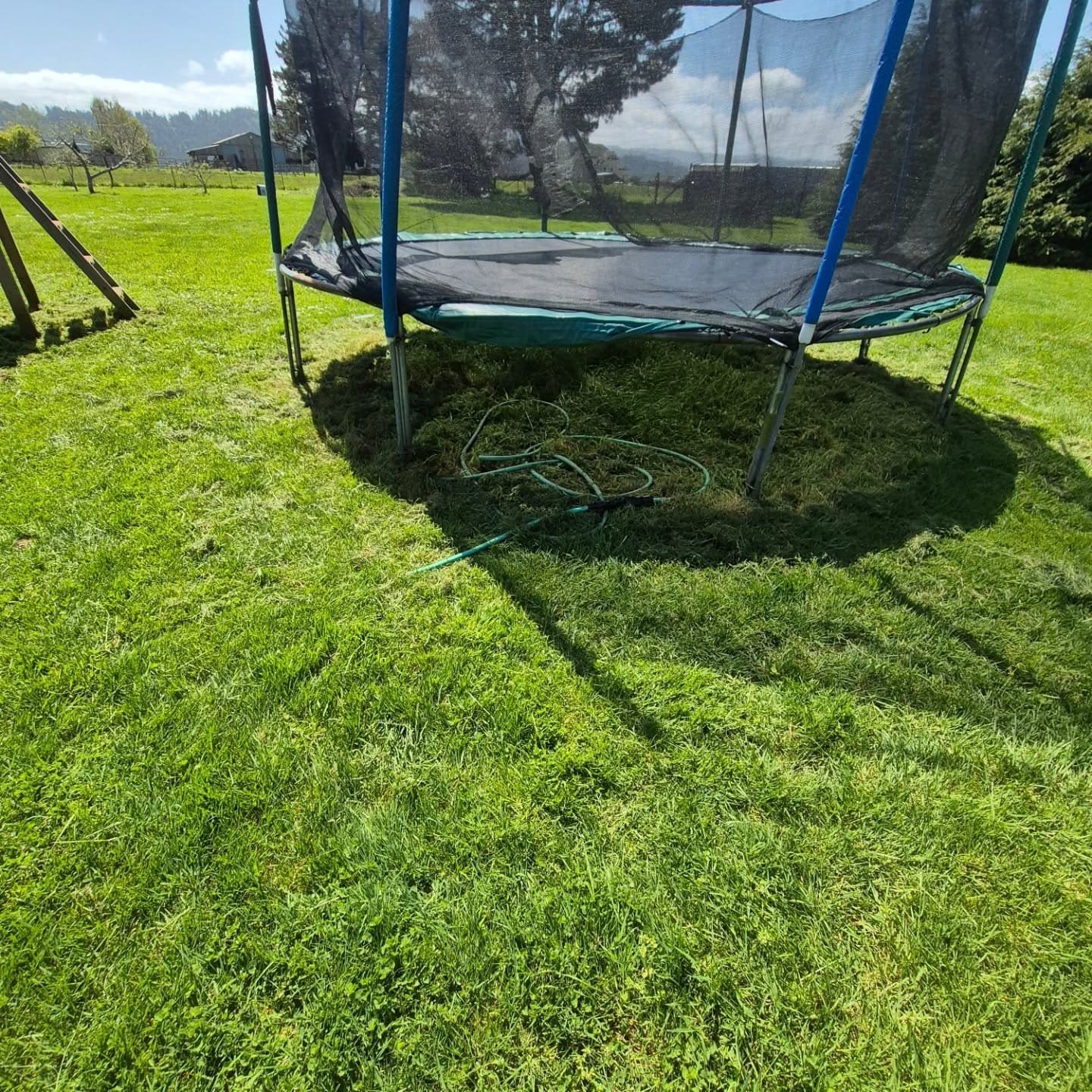 D & D Mowing lawn and yard work example 9