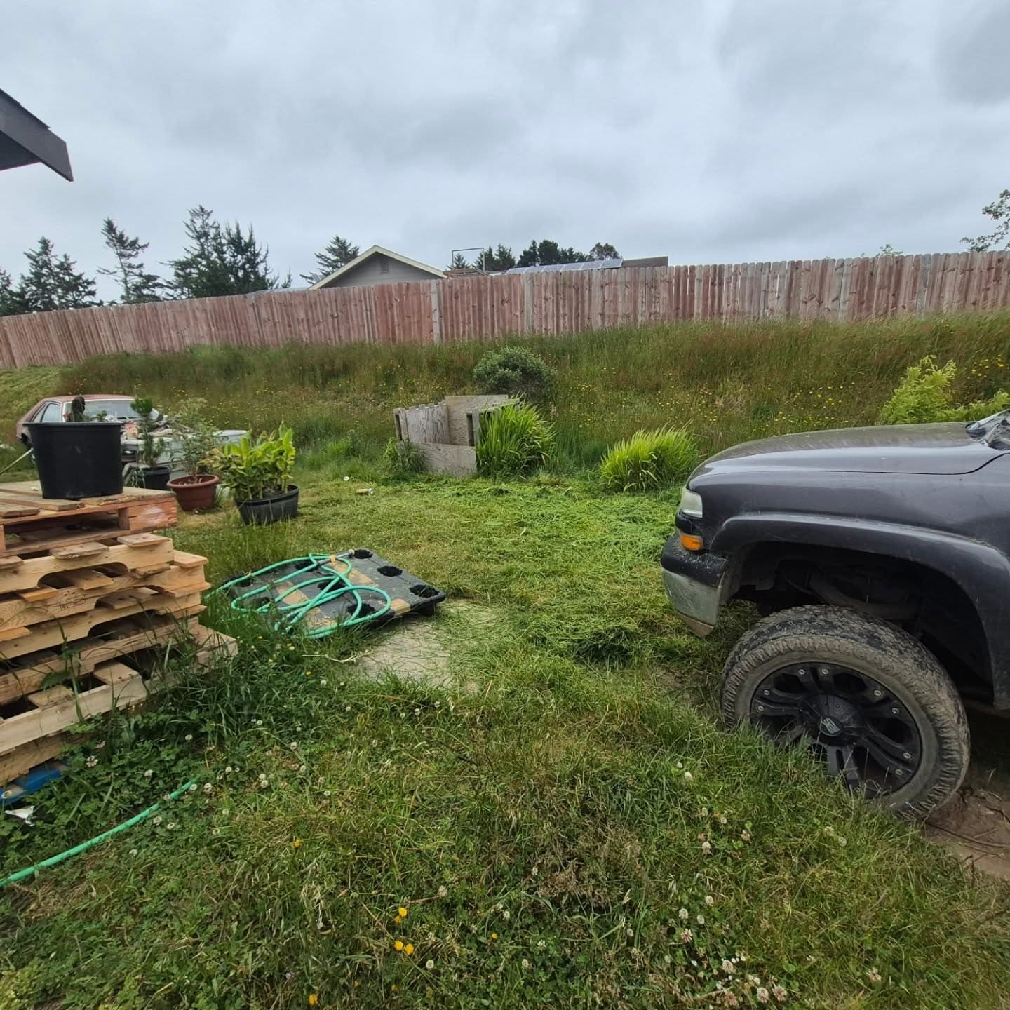D & D Mowing lawn and yard work example 10