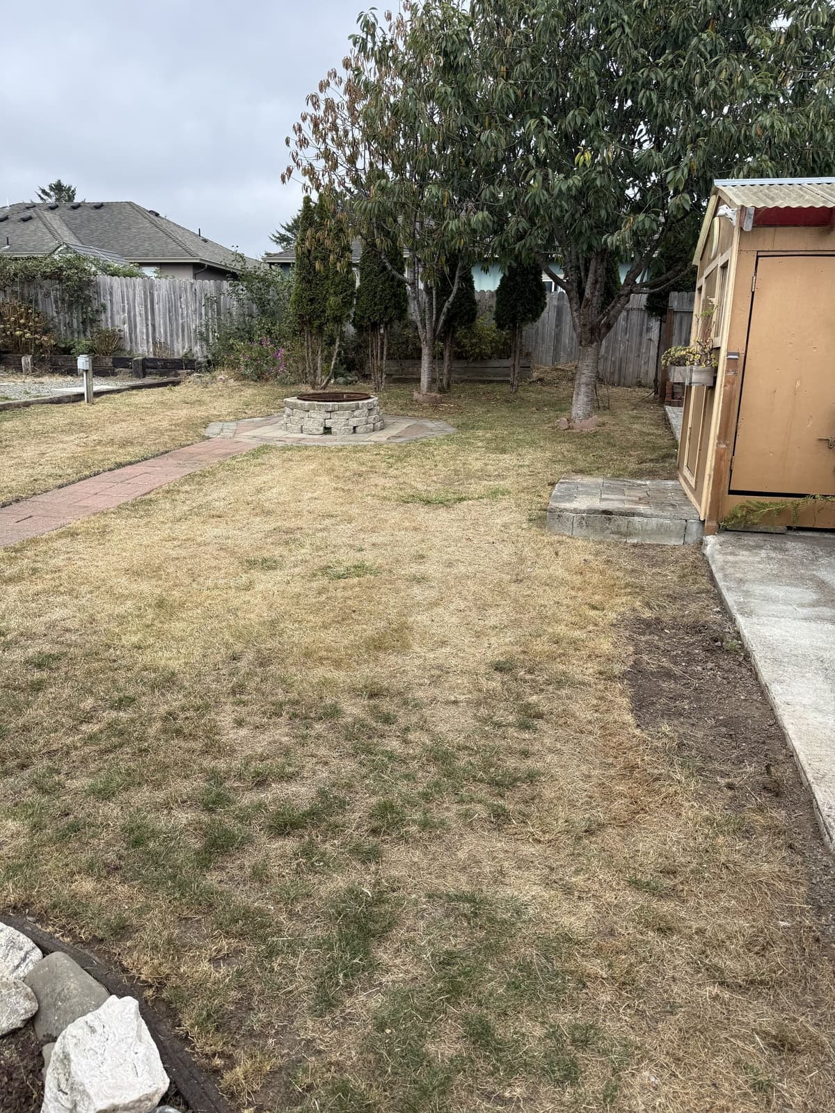 Mowed backyard lawn around mature trees and garden paths