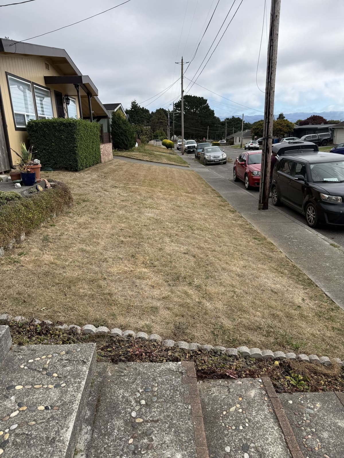 Mowed front lawn beside a residential sidewalk and garden border