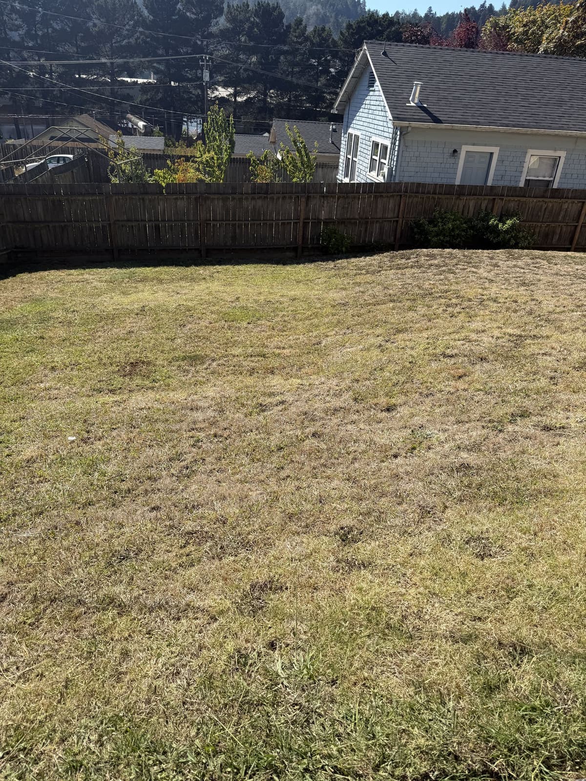 Freshly cut open lawn bordered by a wooden fence
