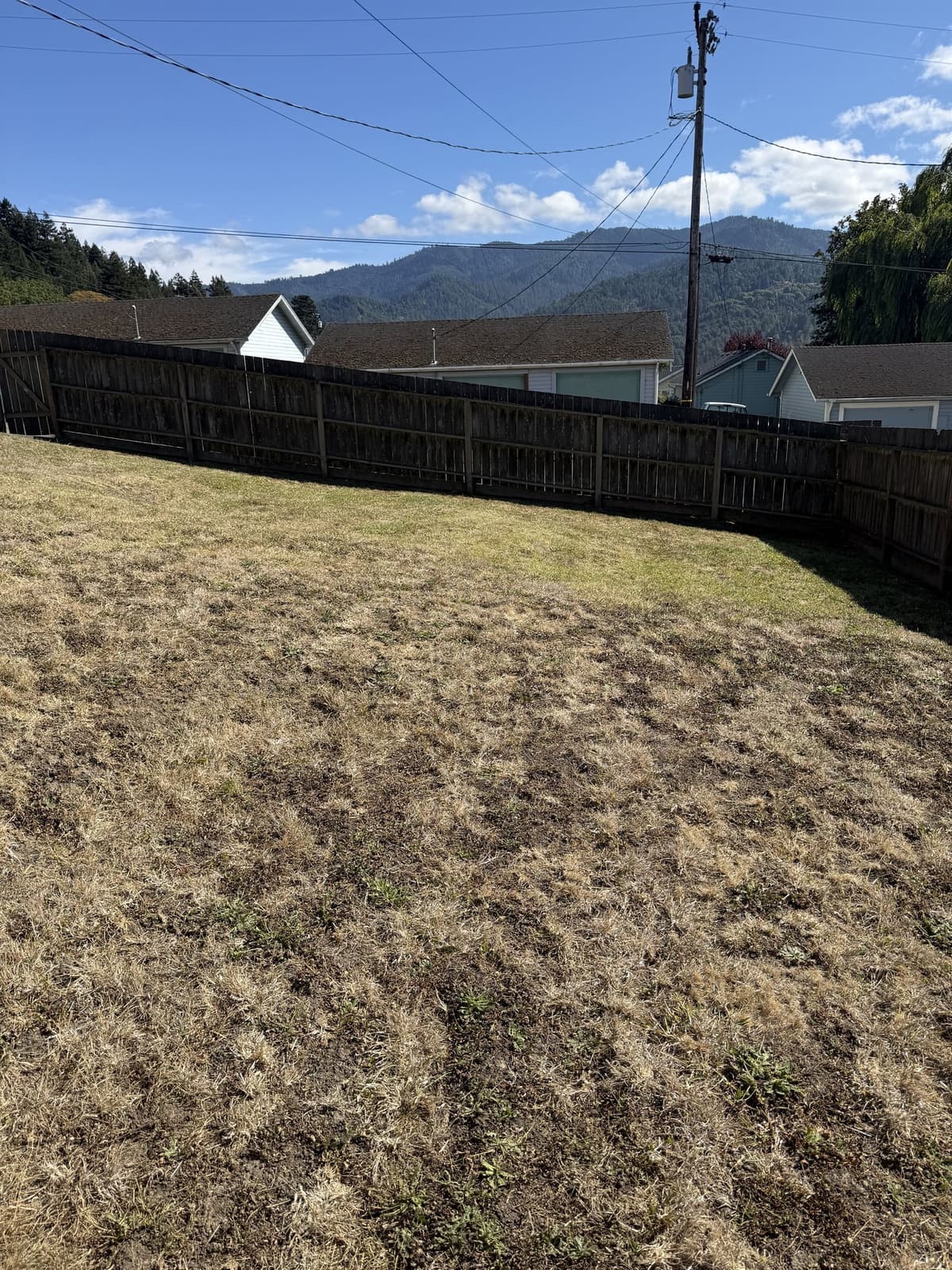 Trimmed backyard lawn extending along a wooden fence