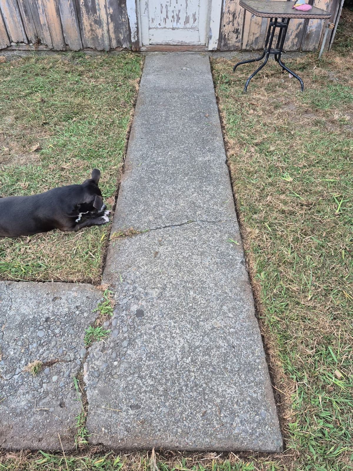 Trimmed grass along both sides of a backyard concrete walkway