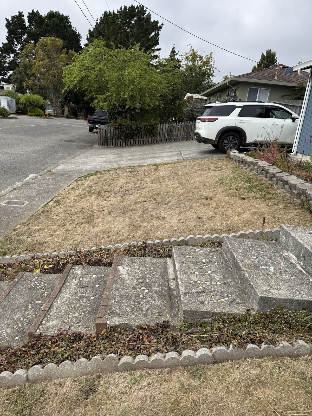 Maintained front lawn beside decorative concrete steps