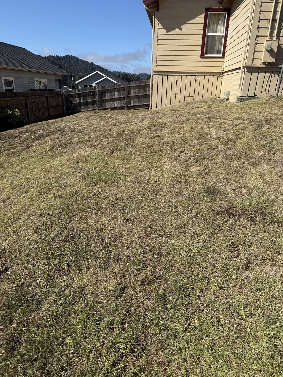 Freshly cut backyard lawn with visible mowing lines